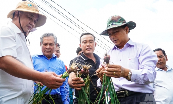 The second locality in the Mekong Delta region announced its provincial planning